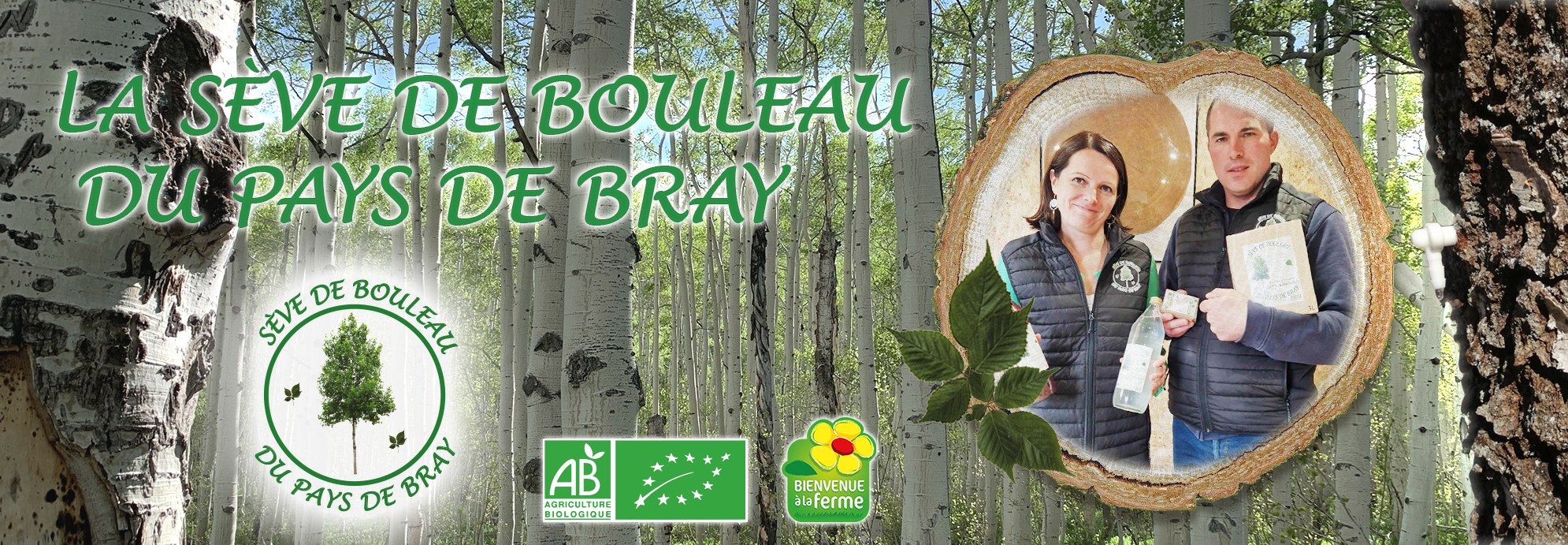 La Sève de Bouleau du Pays de Bray Agriculture Biologique produit naturel normand